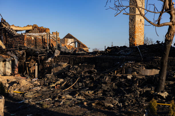 Reliable Fire Damage Removal contractor in Lutz, FL by Fire Damage Flint